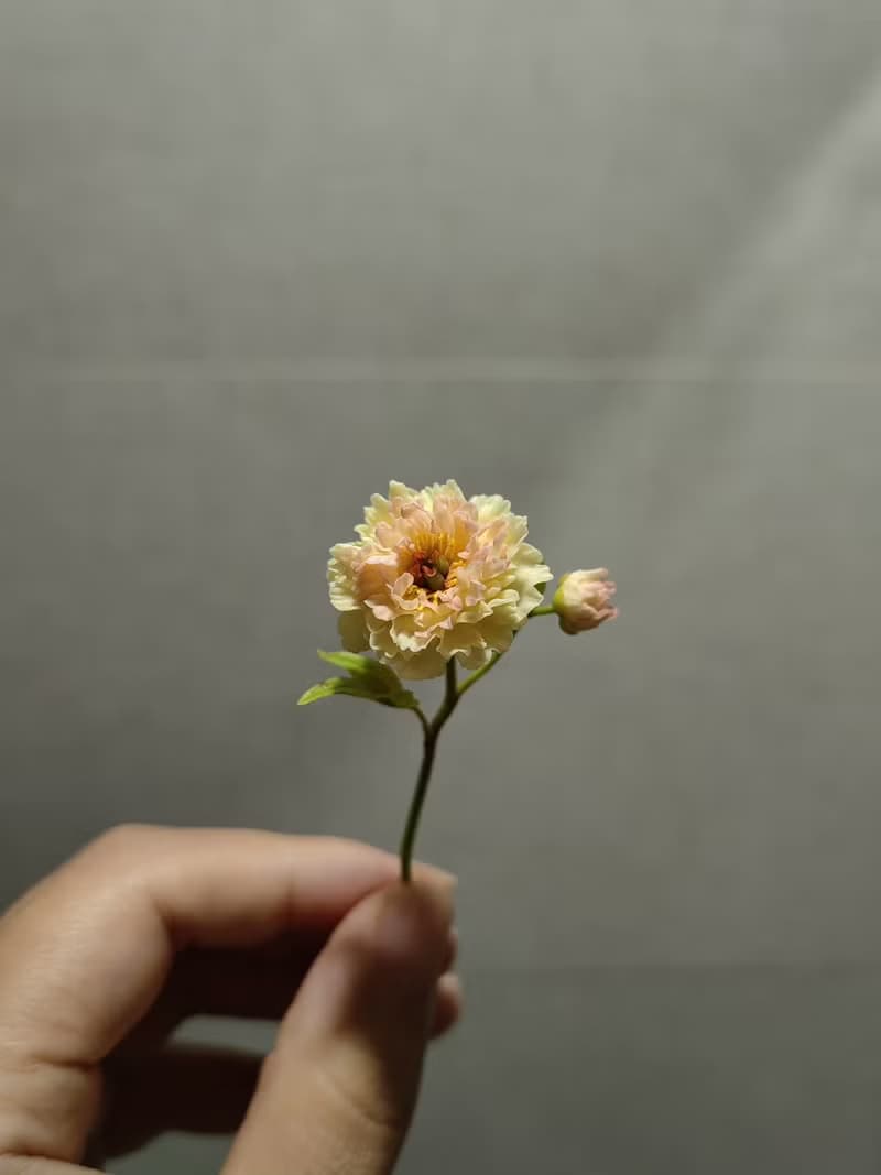 芍藥花微縮黏土一枝芍藥