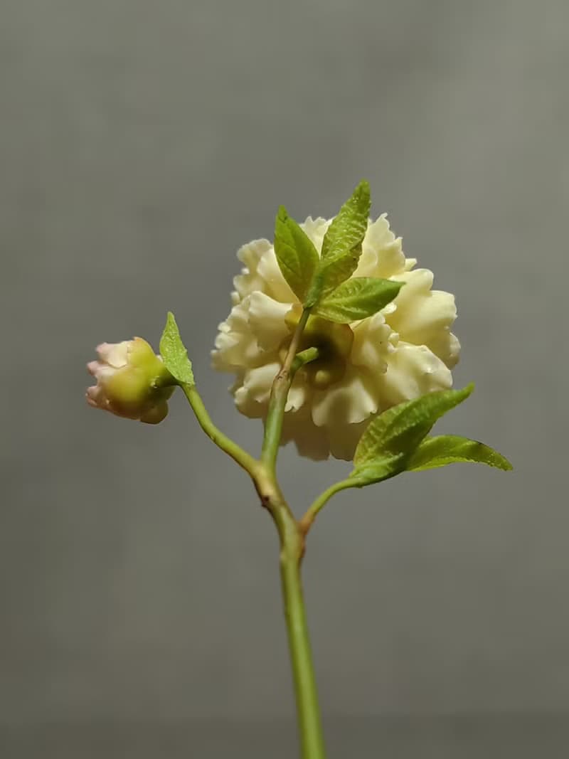 芍藥花微縮黏土一枝芍藥