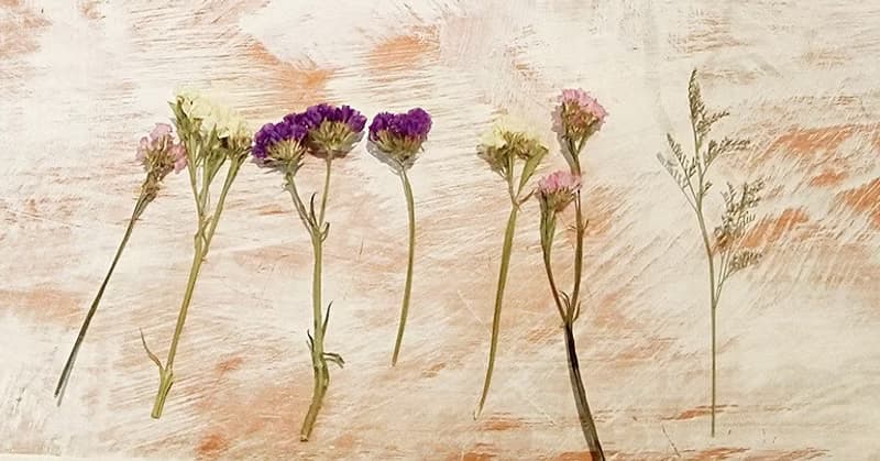 小莊園乾燥花束  冰箱貼/別針