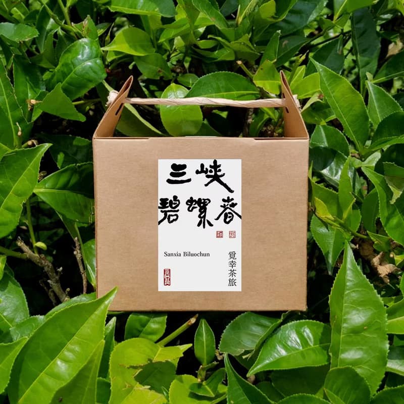 三峽碧螺春 | 茶包10入【清揚香氣】