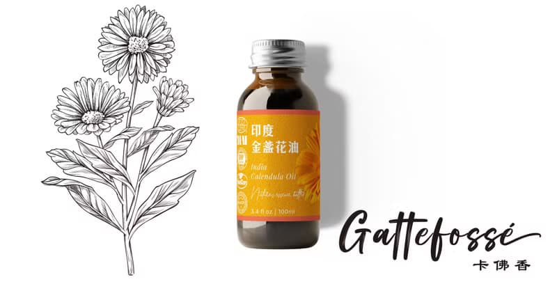 【卡佛香】印度金盞花浸泡油