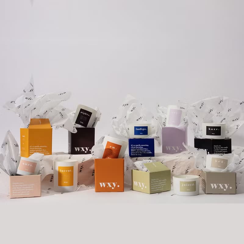 【英國 wxy】經典mini蠟燭- aura. 雲杉 & 琥珀絨 /95g