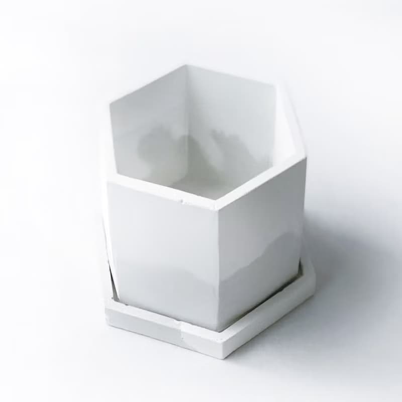 (預購) 白灰漸層系列 | 星點藤 銀斑葛 六邊形漸層水泥盆栽