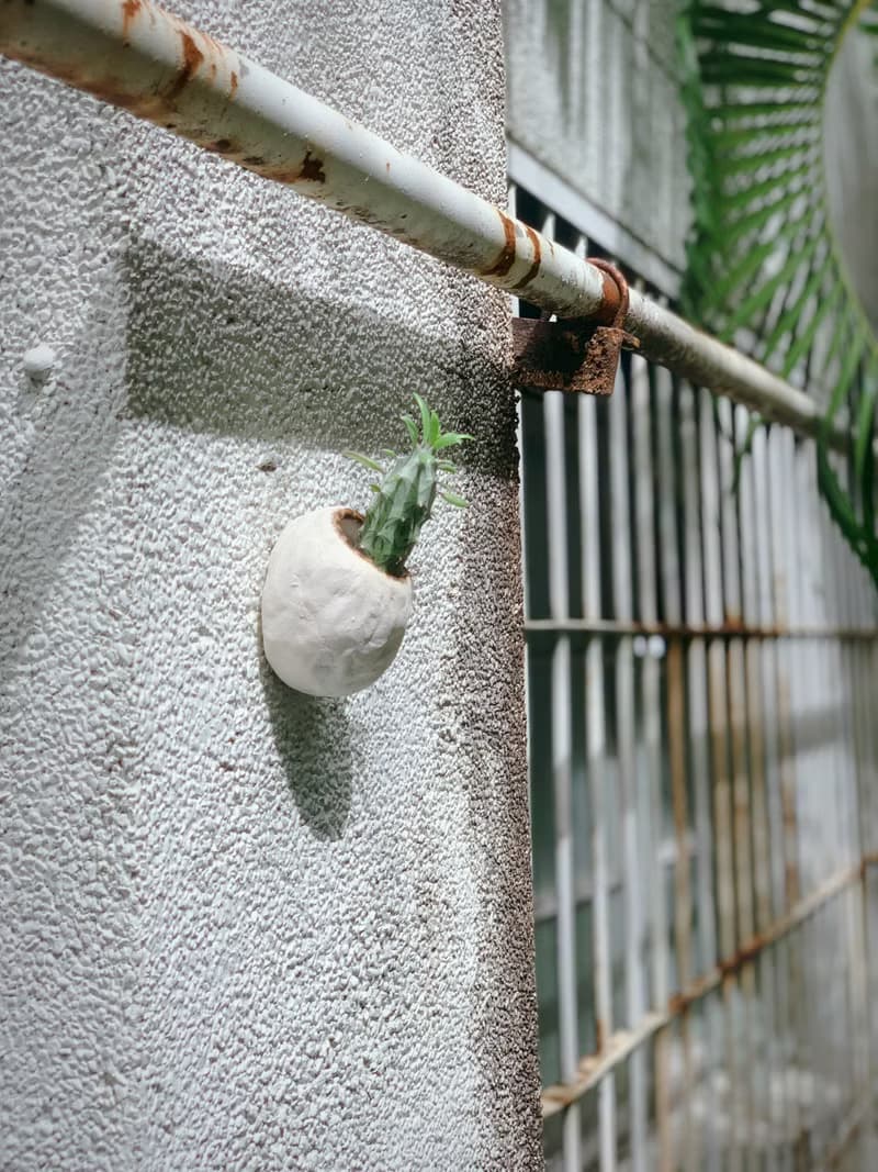 /肥肥的繭/ 手捏陶瓷植栽盆