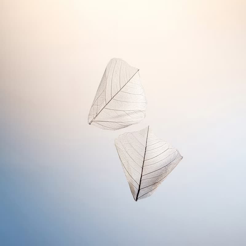 羽曦堂【朝曦步雲】梨山花香清焙烏龍茶 英國美食奧斯卡 三星獎