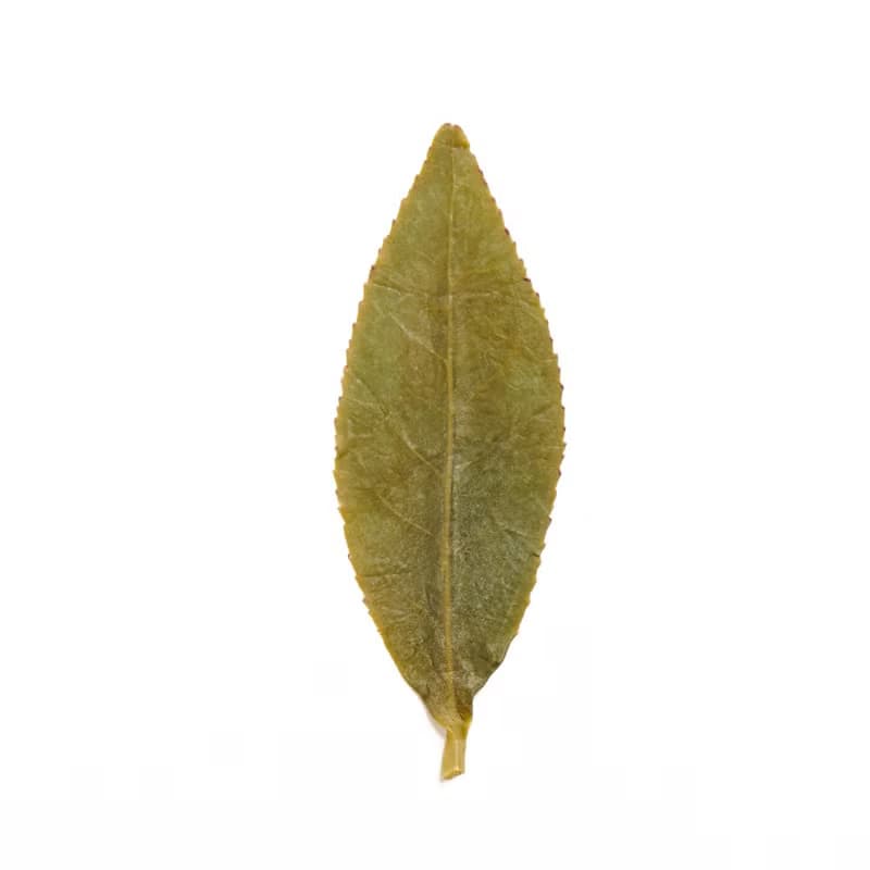 羽曦堂【朝曦步雲】梨山花香清焙烏龍茶 英國美食奧斯卡 三星獎