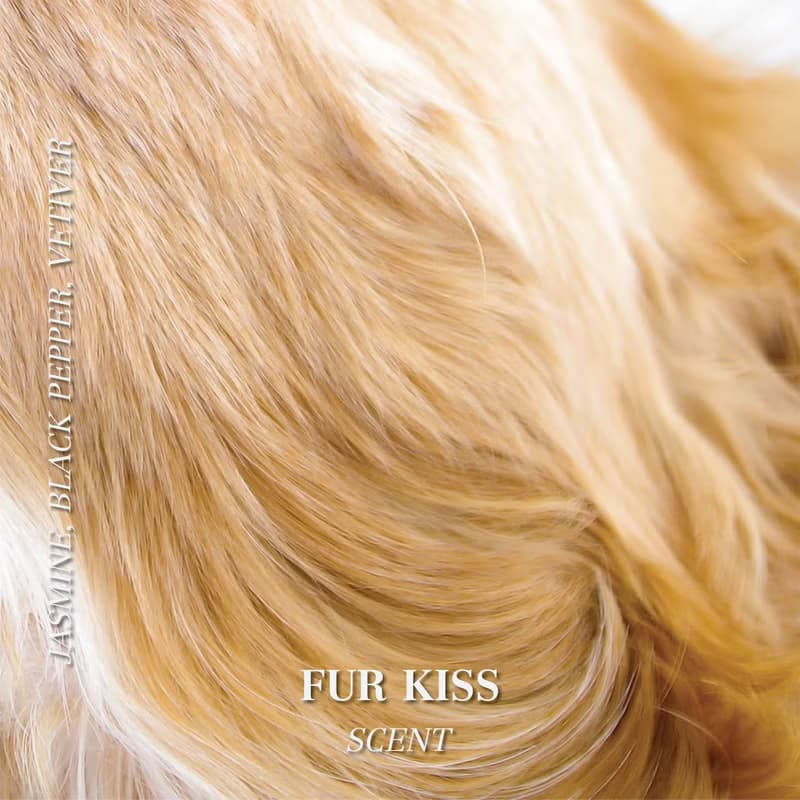 Pet odor candles soy wax phthalate-free - Fur Kiss scent 200g | Sniff