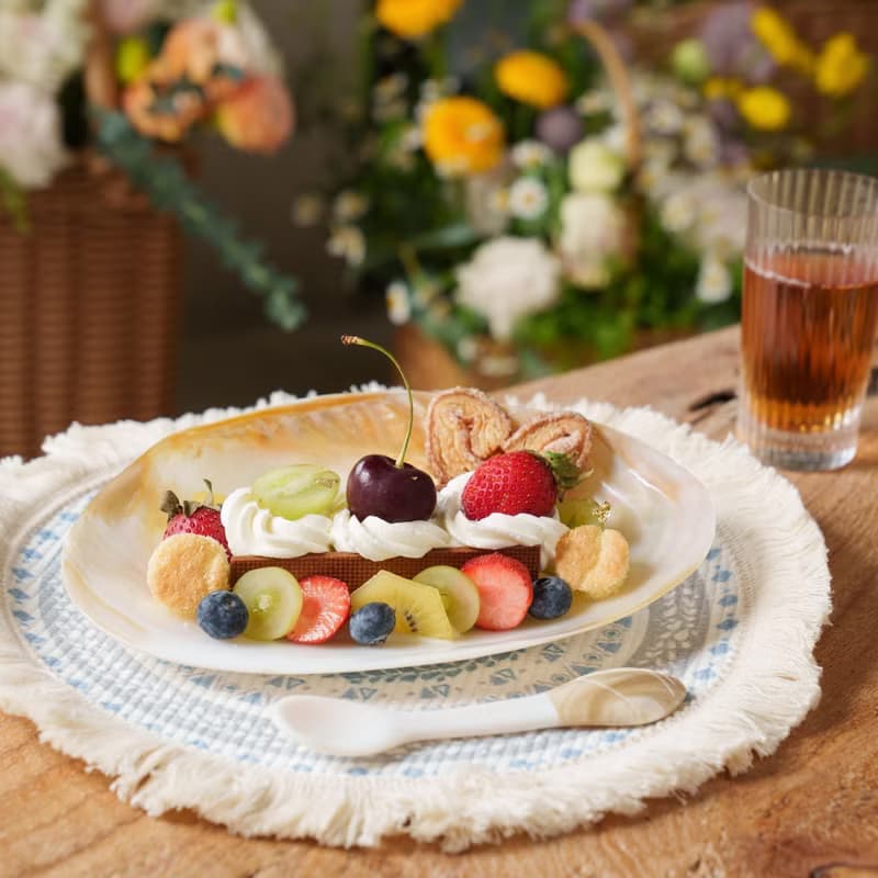 飾品盤【珍珠母貝 大貝殼盤】澳洲天然貝殼 | 生日