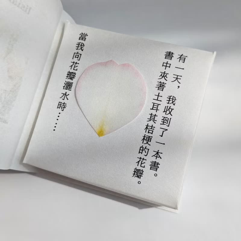 繫體字版　可融化書本禮物/耳環/土耳其桔梗/醫療級不鏽鋼316L