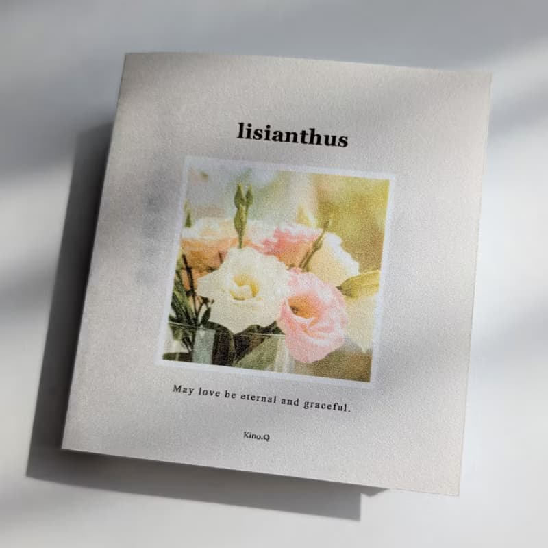 繫體字版　可融化書本禮物/耳環/土耳其桔梗/醫療級不鏽鋼316L