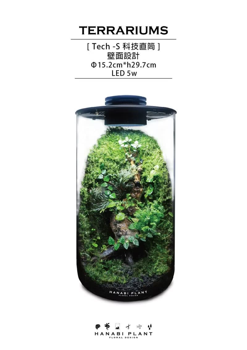 【訂製】蕨醒科技生態瓶-直筒款