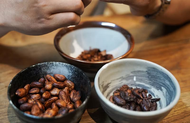 【體驗】可可宴-從神的飲品到人間的甜品 | 草木竹石 | 大稻埕