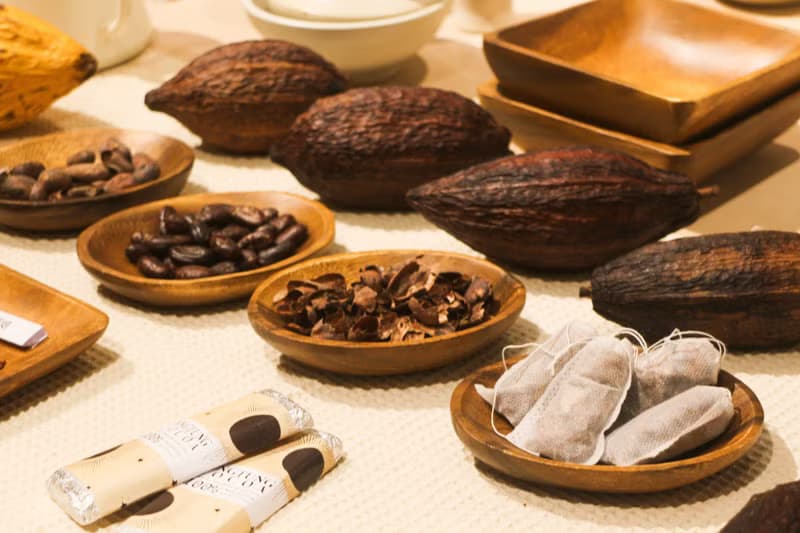 【體驗】可可宴-從神的飲品到人間的甜品 | 草木竹石 | 大稻埕