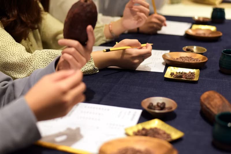 【體驗】可可宴-從神的飲品到人間的甜品 | 草木竹石 | 大稻埕