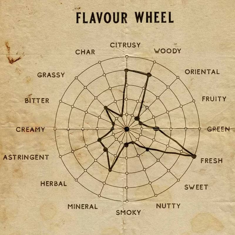 Senteur Lab-純茗流光系列茶香水50ml - 銀針清韻