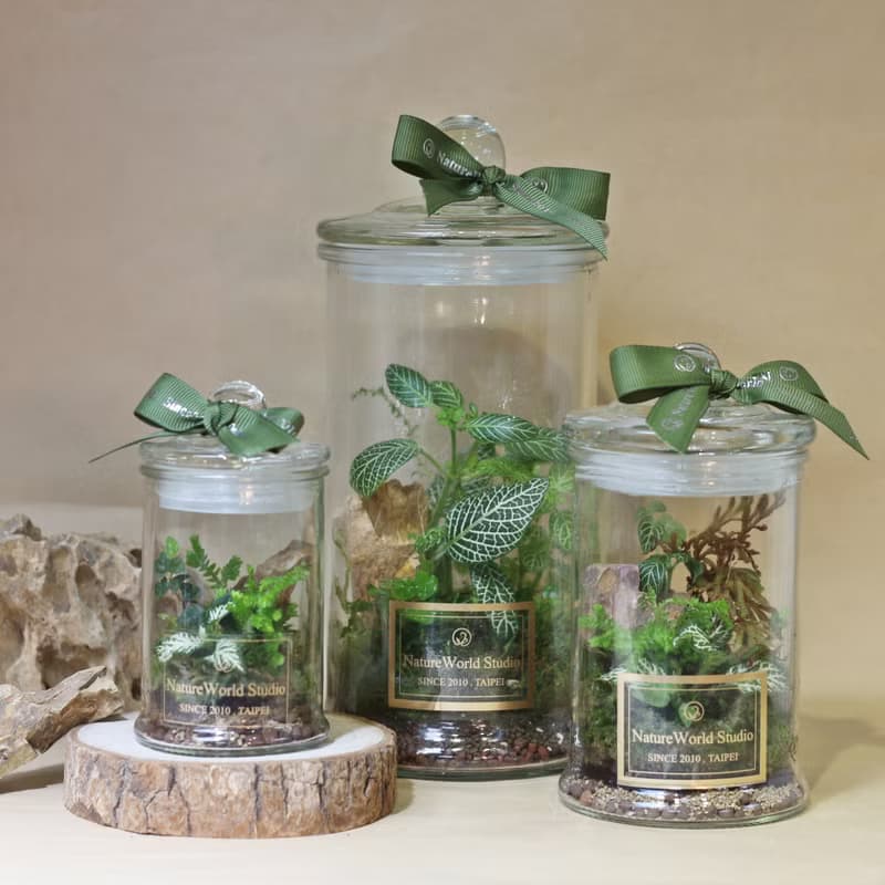 【體驗】【永續植物生態瓶】水循環奧秘+生態瓶製