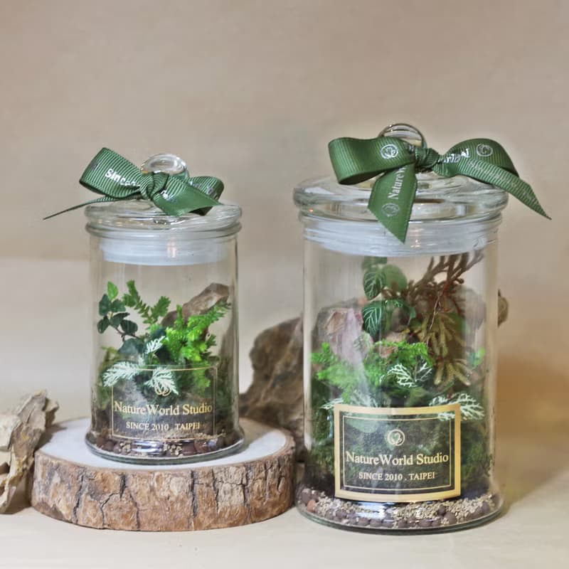 【體驗】【永續植物生態瓶】水循環奧秘+生態瓶製