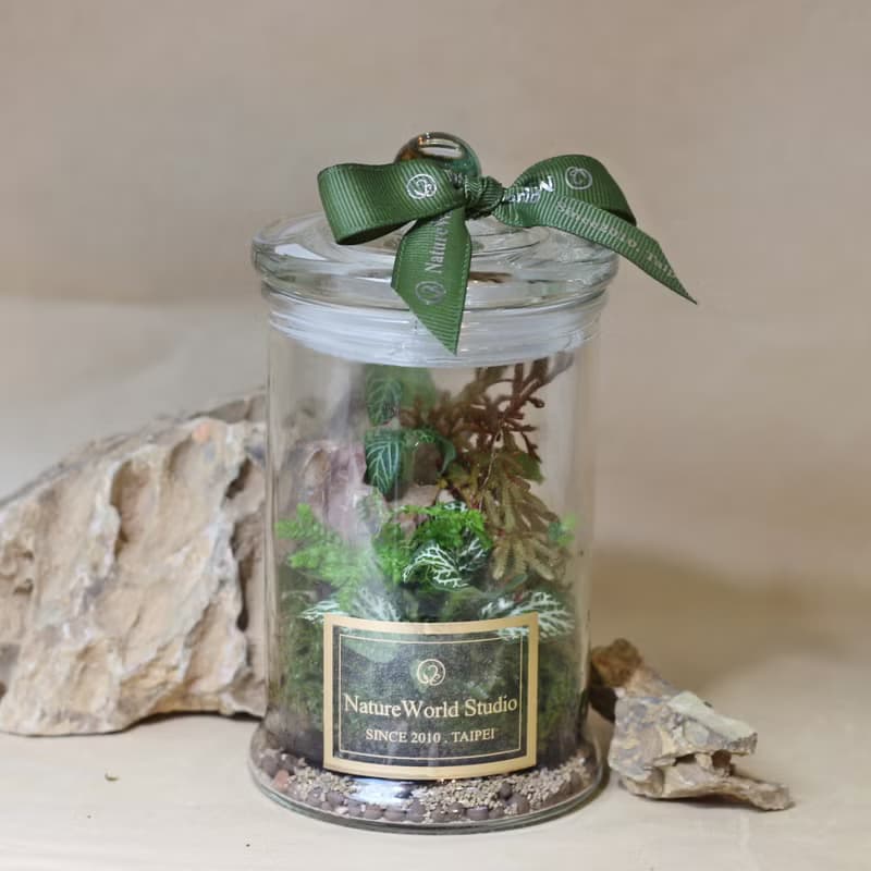 【體驗】【永續植物生態瓶】水循環奧秘+生態瓶製
