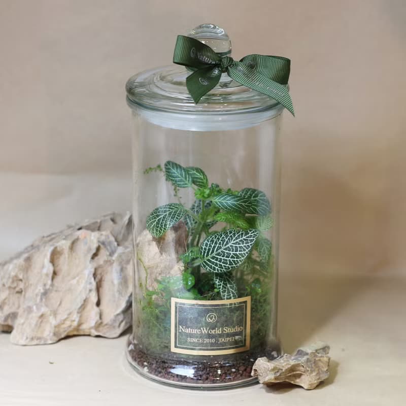 【體驗】【永續植物生態瓶】水循環奧秘+生態瓶製