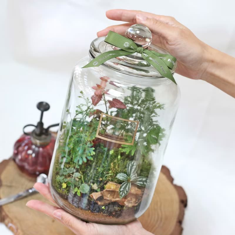 【體驗】【永續植物生態瓶】水循環奧秘+生態瓶製