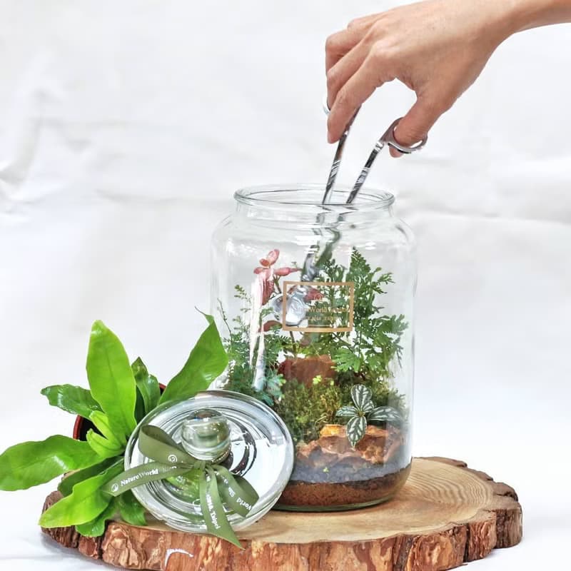 【體驗】【永續植物生態瓶】水循環奧秘+生態瓶製