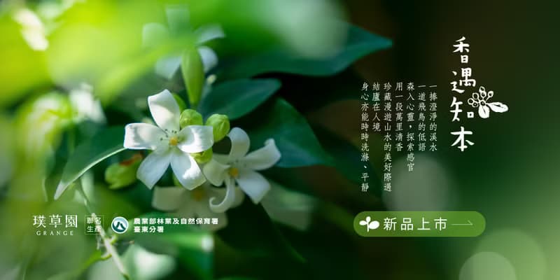 七里香放鬆香水質萃油10ml－身體香氛滾珠瓶