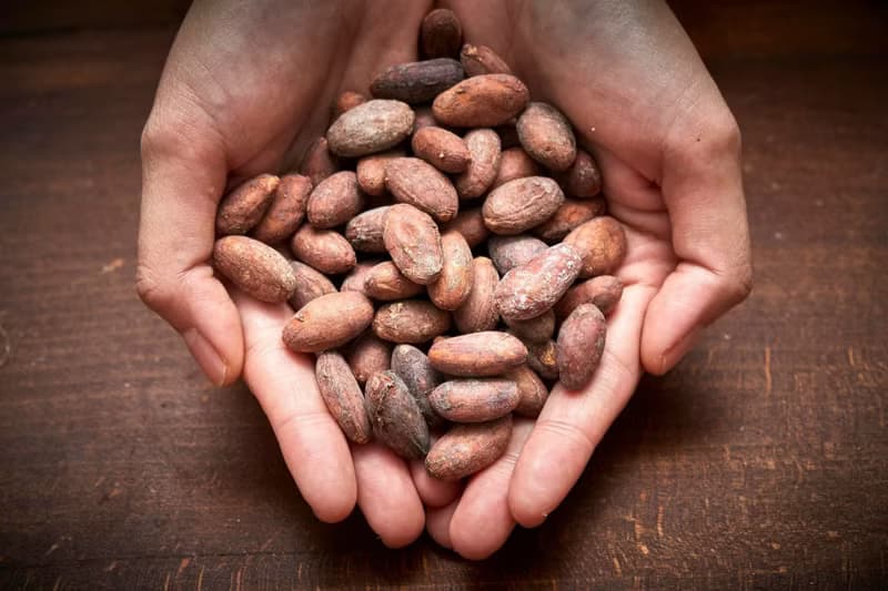 曼斐諾70%檸檬紅茶黑巧克力