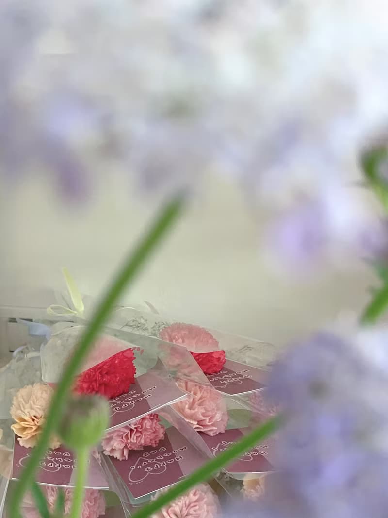 人魚極光單套sola康乃馨小花束 母親節花束
