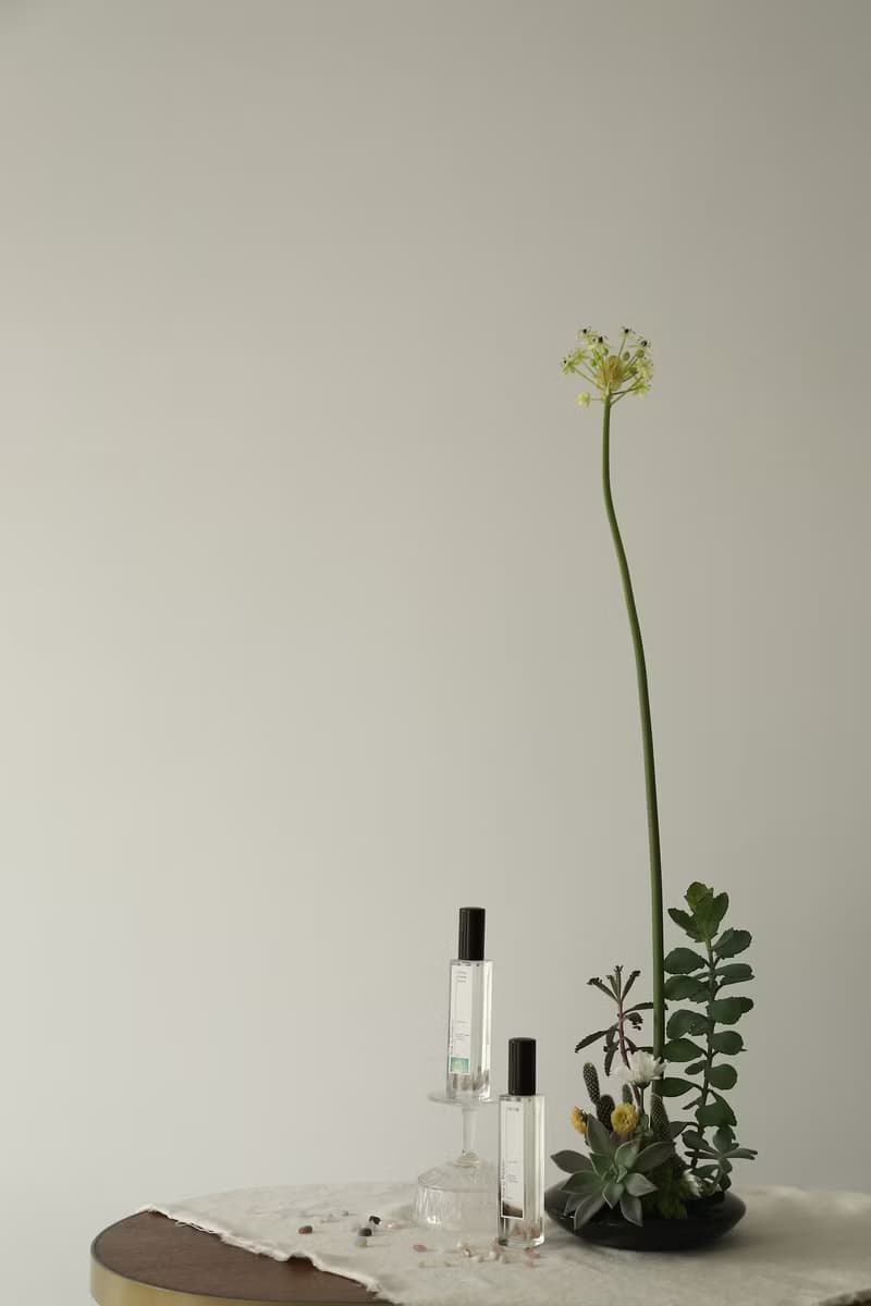 築夢之巢玄關精油水晶噴霧50ml 索馬利亞乳香 玫瑰草 松脂 香氛