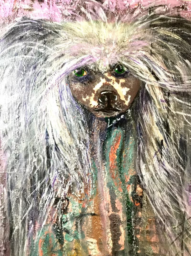 Chinese crested dog original mix media painting