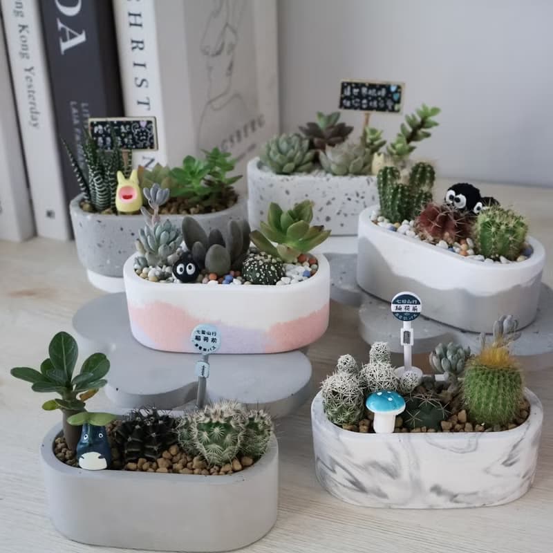 小陽台【DIY材料包】多肉植物水泥盆DIY禮盒 / 交換禮物 / 聖誕禮