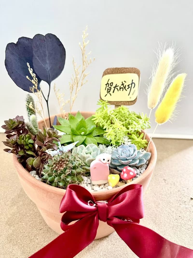 多肉組盆 多肉植物 日式枯山水 黃金鼠 鼠家長送禮 小鼠 禪意
