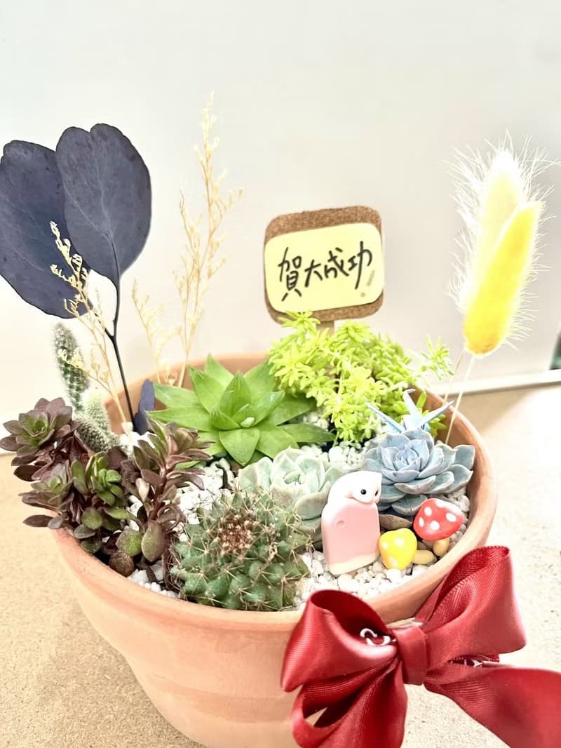 多肉組盆 多肉植物 日式枯山水 黃金鼠 鼠家長送禮 小鼠 禪意