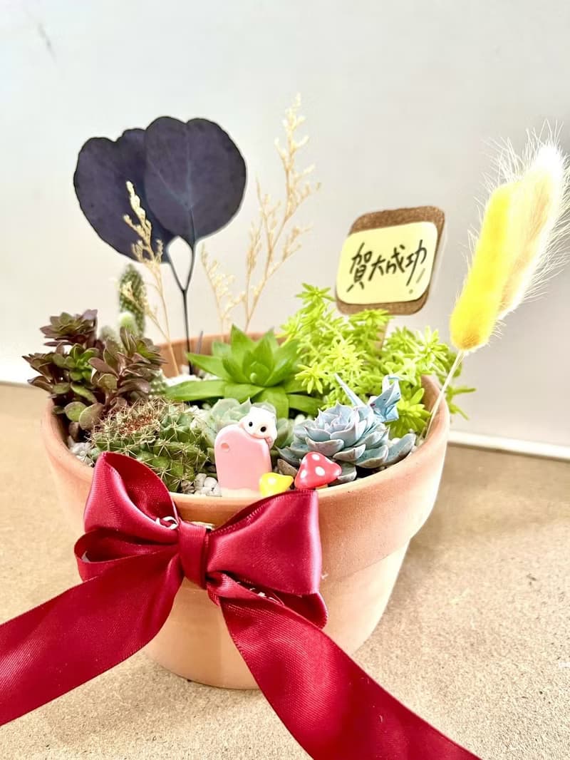 多肉組盆 多肉植物 日式枯山水 黃金鼠 鼠家長送禮 小鼠 禪意