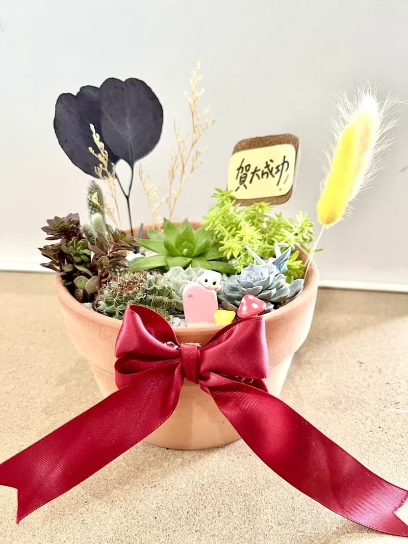 多肉組盆 多肉植物 日式枯山水 黃金鼠 鼠家長送禮 小鼠 禪意