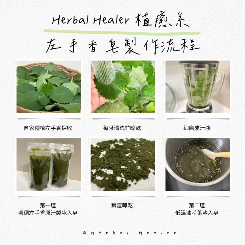 午時左手香草本皂-自家種植左手香精華萃取 溫和天然植物油手工皂