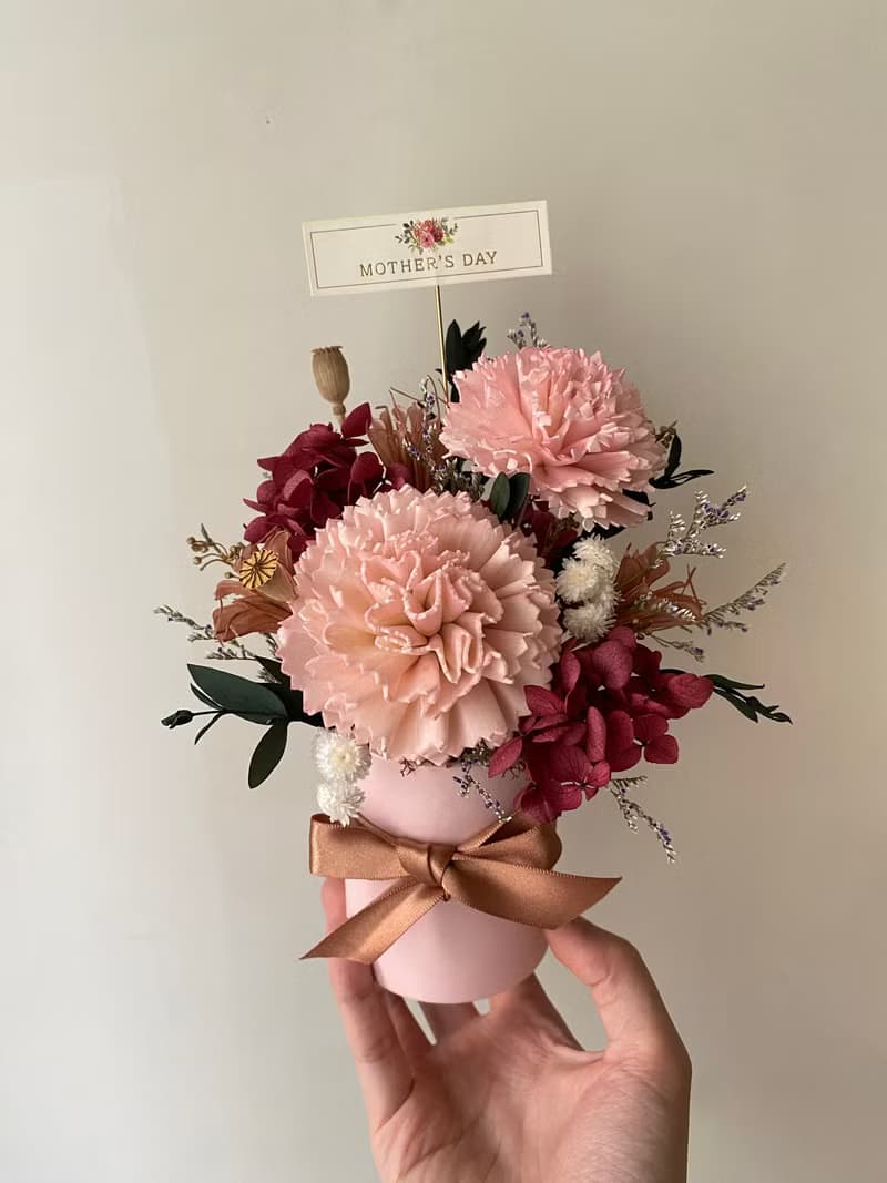 母親節花禮.康乃馨盆花.花禮.康乃馨.母親節禮物.母親節