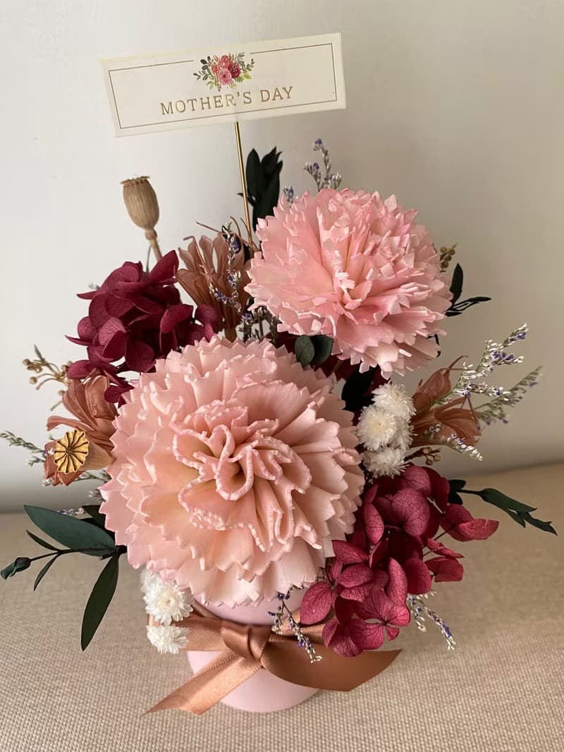 母親節花禮.康乃馨盆花.花禮.康乃馨.母親節禮物.母親節