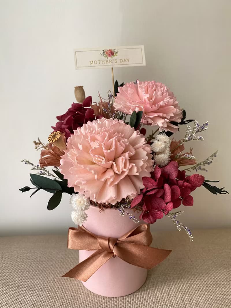 母親節花禮.康乃馨盆花.花禮.康乃馨.母親節禮物.母親節