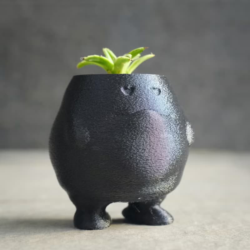 【肥蛋】植物盆器 3d列印盆器 原創設計 塊根盆 多肉盆 水泥盆
