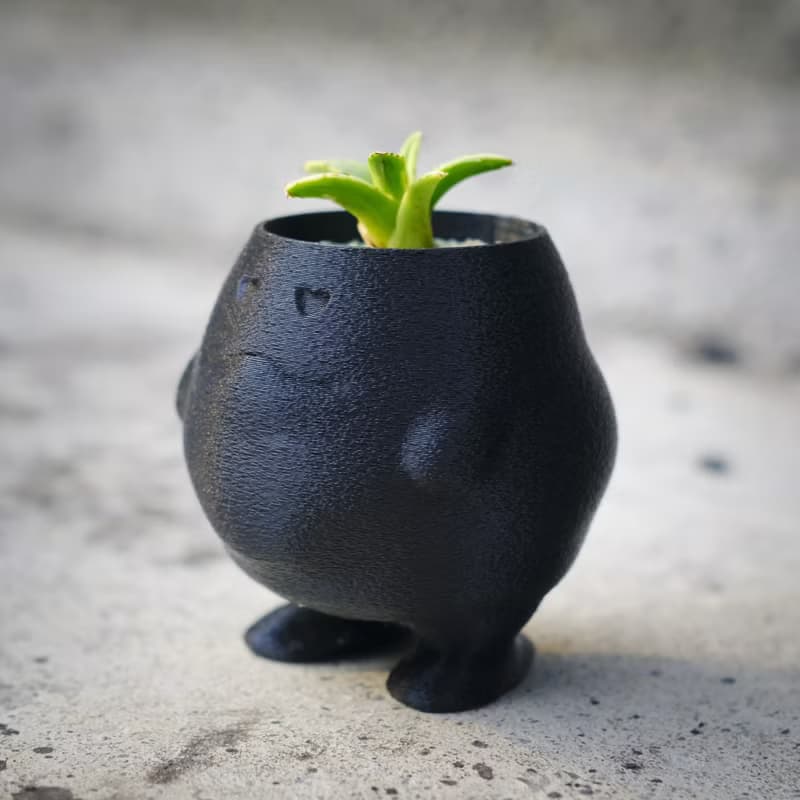 【肥蛋】植物盆器 3d列印盆器 原創設計 塊根盆 多肉盆 水泥盆