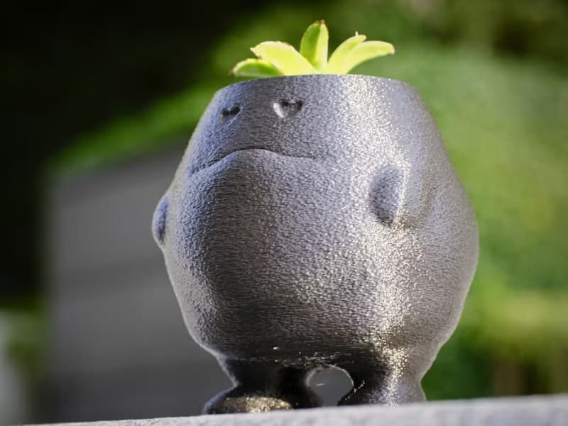 【肥蛋】植物盆器 3d列印盆器 原創設計 塊根盆 多肉盆 水泥盆