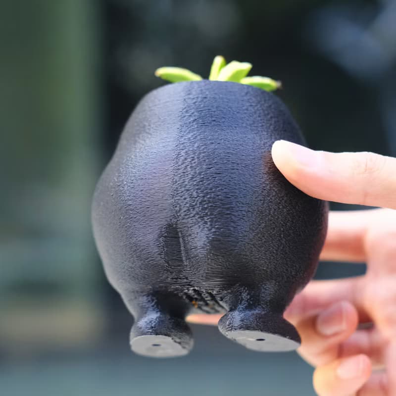 【肥蛋】植物盆器 3d列印盆器 原創設計 塊根盆 多肉盆 水泥盆