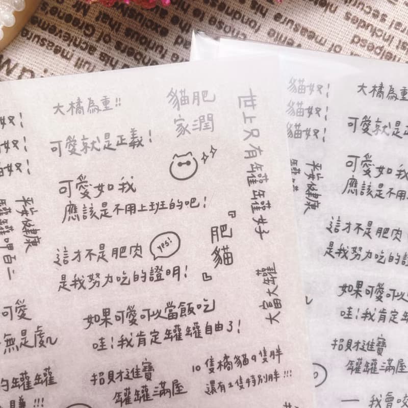 喵的人生 轉印貼紙