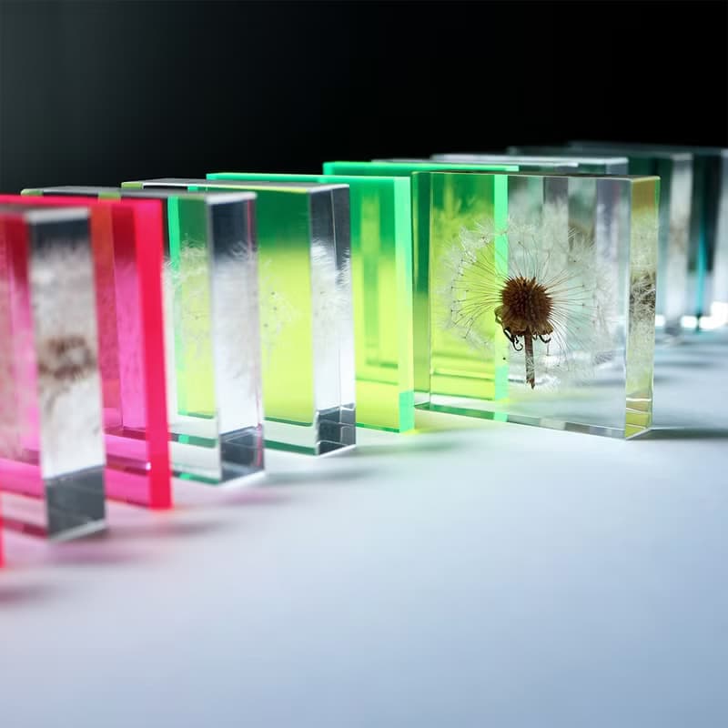 Sola cube Slice 螢光觀賞斷層塊 (共3色)