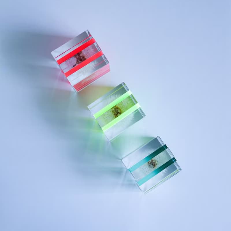 Sola cube Slice 螢光觀賞斷層塊 (共3色)