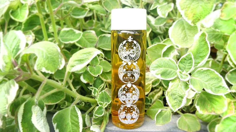 【步步高升】冷泡茶瓶禮盒  手採原片立體茶包 X 8