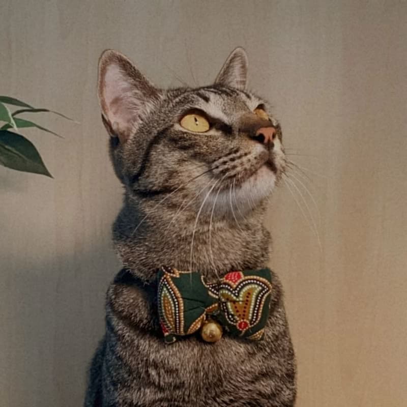 簡約手工定制貓項圈 Batik Green Cat Bow Breakaway Cat Collar