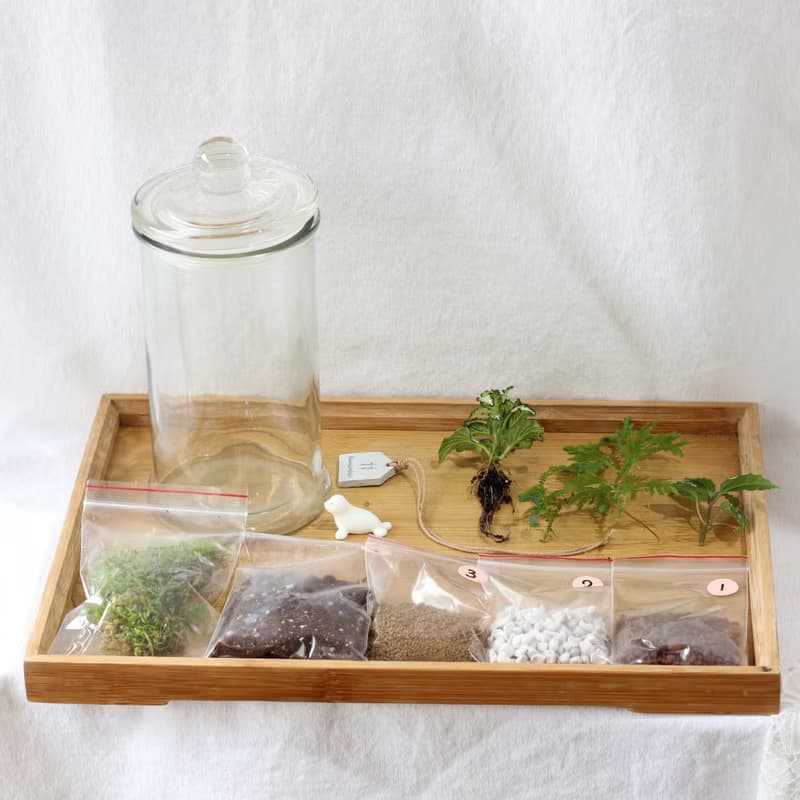 【植物生態瓶】DIY材料包+教學影片