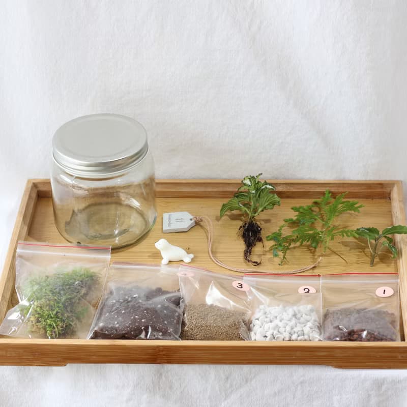 【植物生態瓶】DIY材料包+教學影片